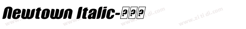 Newtown Italic字体转换 Newtown Italic字体转换
